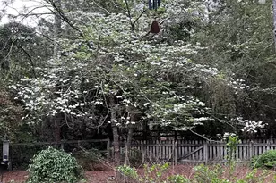 335 Swoope Dr, Southern Pines, NC 28387 - Photo 40
