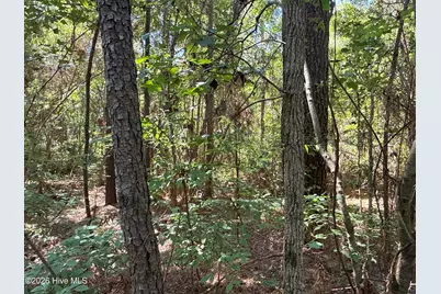 87 Bailey Pointe Drive, Belhaven, NC 27810 - Photo 20