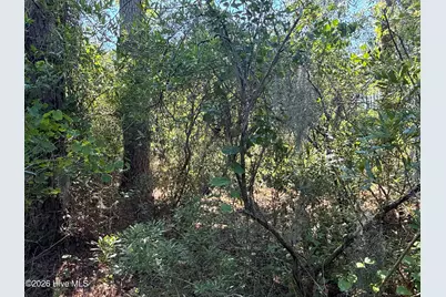 87 Bailey Pointe Drive, Belhaven, NC 27810 - Photo 24