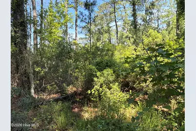 87 Bailey Pointe Drive, Belhaven, NC 27810 - Photo 22