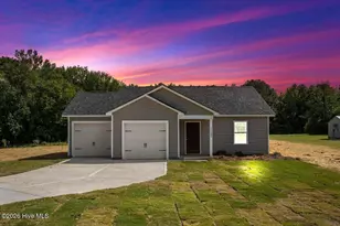 11365 Red Bud Rd, Castalia, NC 27816 - Photo 1