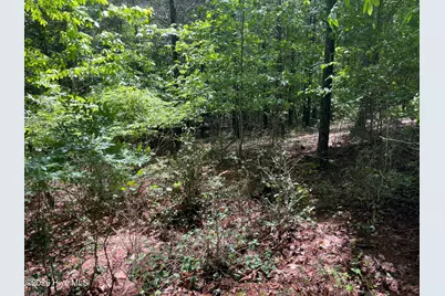 0 River Mountain Road, Murphy, NC 28906 - Photo 4