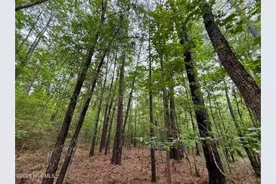 01 Titan Roberts Rd, Erwin, NC 28339 - Photo 12