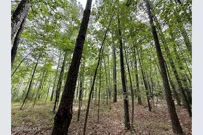 01 Titan Roberts Rd, Erwin, NC 28339 - Photo 4