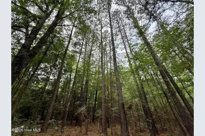 01 Titan Roberts Rd, Erwin, NC 28339 - Photo 18
