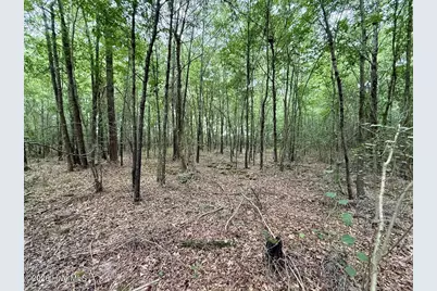 01 Titan Roberts Rd, Erwin, NC 28339 - Photo 20