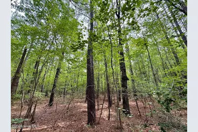 5930 Titan Roberts Road, Erwin, NC 28339 - Photo 8