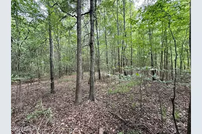 5930 Titan Roberts Road, Erwin, NC 28339 - Photo 10