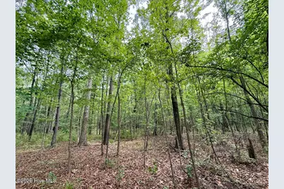 5930 Titan Roberts Road, Erwin, NC 28339 - Photo 52