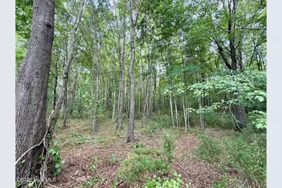 5930 Titan Roberts Road, Erwin, NC 28339 - Photo 34