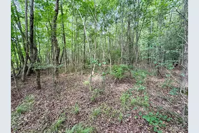5930 Titan Roberts Road, Erwin, NC 28339 - Photo 24