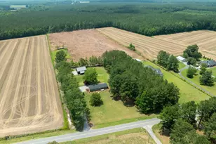 4969 N Boyd Rd, Pinetown, NC 27865 - Photo 36