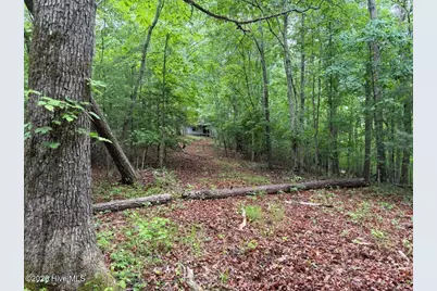 274 Snow Hill Ridge Road, Murphy, NC 28906 - Photo 26