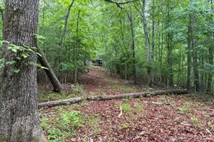 274 Snow Hill Ridge Rd, Murphy, NC 28906 - Photo 26