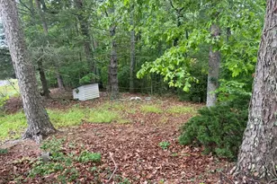 274 Snow Hill Ridge Rd, Murphy, NC 28906 - Photo 12