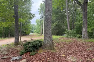 274 Snow Hill Ridge Rd, Murphy, NC 28906 - Photo 10