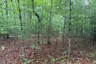 274 Snow Hill Ridge Rd, Murphy, NC 28906 - Photo 28