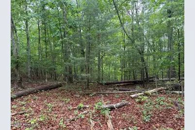 274 Snow Hill Ridge Road, Murphy, NC 28906 - Photo 30