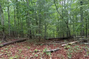 274 Snow Hill Ridge Rd, Murphy, NC 28906 - Photo 30