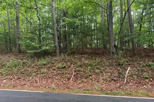 274 Snow Hill Ridge Rd, Murphy, NC 28906 - Photo 22