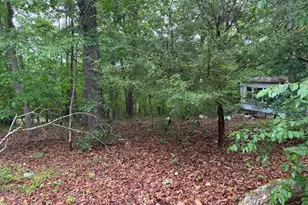 274 Snow Hill Ridge Rd, Murphy, NC 28906 - Photo 2