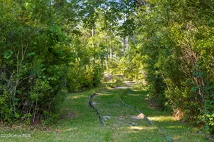 965 Old Mill Rd, Oriental, NC 28571 - Photo 56