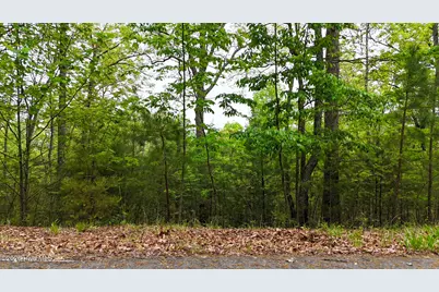 Lot 52 Sundance Court, Murphy, NC 28906 - Photo 4