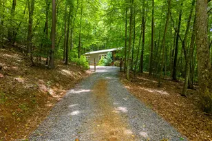 243 Jonquil Woods Rd, Franklin, NC 28734 - Photo 32