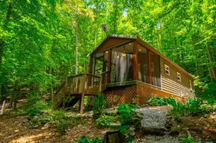 243 Jonquil Woods Rd, Franklin, NC 28734 - Photo 52