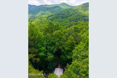 243 Jonquil Woods Road, Franklin, NC 28734 - Photo 46