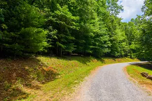 243 Jonquil Woods Rd, Franklin, NC 28734 - Photo 48