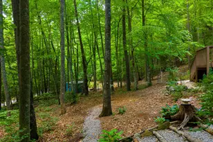 243 Jonquil Woods Rd, Franklin, NC 28734 - Photo 40