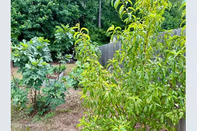 143 Fawnbrook Drive, Four Oaks, NC 27524 - Photo 32