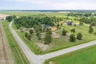 1184 Sylvan Grove Rd, Stapleton, GA 30823 - Photo 46