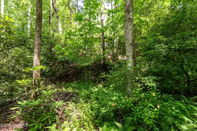 211 Red Oak Forest Lane, Murphy, NC 28906 - Photo 40