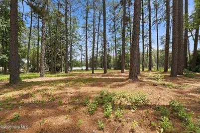 55 Apawamis Circle, Pinehurst, NC 28374 - Photo 12
