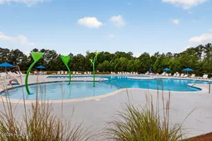 377 Water Wagon Trl, Jacksonville, NC 28546 - Photo 28