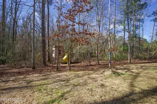 240 Parrish Ln, Carthage, NC 28327 - Photo 70