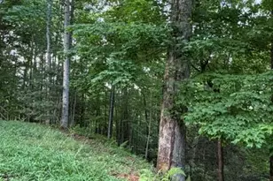 Lot 59 Quiet Mountain Trail, Murphy, NC 28906 - Photo 1