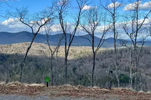 182 & 183 Skyline View Dr, Murphy, NC 28906 - Photo 1