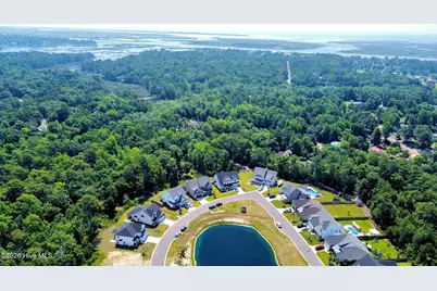 165 Tilloo Cut Way, Hampstead, NC 28443 - Photo 42