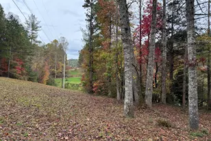 50 Kramers Knob Ln, Murphy, NC 28906 - Photo 52