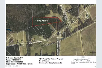 Lot 8 Odum Home Place Road, Saint Pauls, NC 28384 - Photo 2
