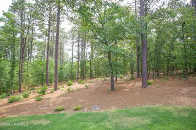 102 Greystones Court, Pinehurst, NC 28374 - Photo 54