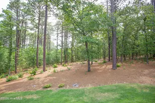 102 Greystones Ct, Pinehurst, NC 28374 - Photo 54