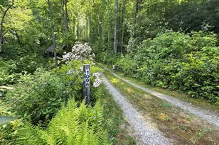 1096 Mt Tabor Rd, Topton, NC 28781 - Photo 2