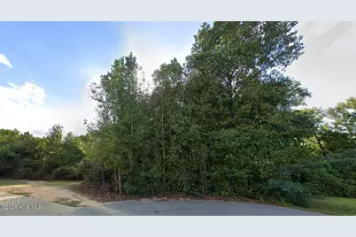 00 Livingston Lane, Clinton, NC 28328 - Photo 2