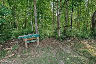 109 Riddle Ct, Shawboro, NC 27973 - Photo 50