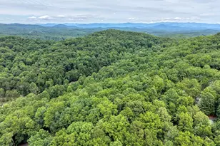 664 High Ridge Rd, Murphy, NC 28906 - Photo 38