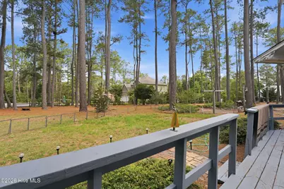 84 Richmond Road, Jackson Springs, NC 27281 - Photo 38